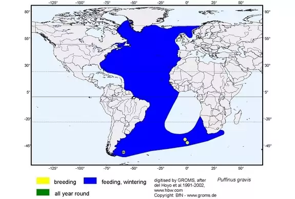 Распространение буревестника Распространение буревестника фото