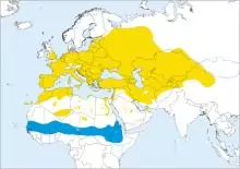 Распространение горлицы Распространение горлицы фото