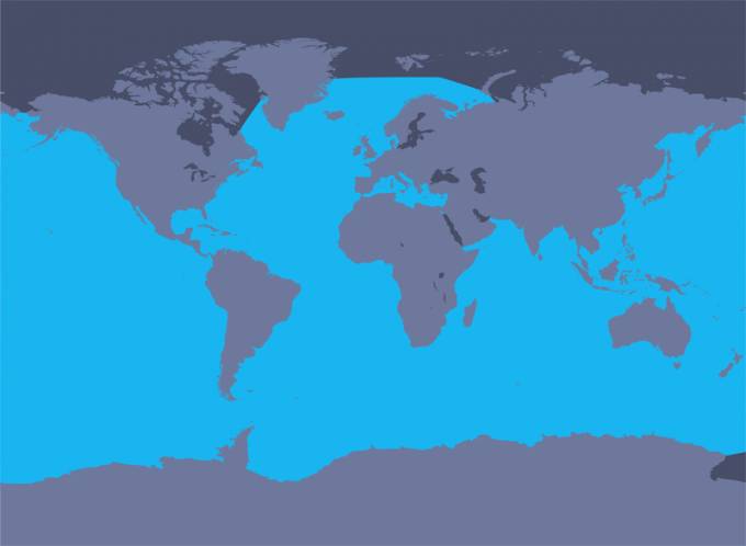 Распространение кашалота фото Распространение кашалота