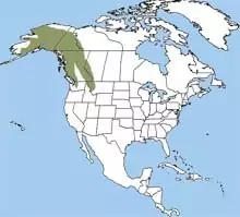 Распространение сурка Распространение сурка фото