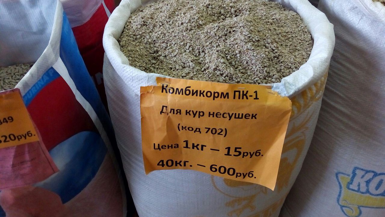 Комбикорм для кур-несушек — из чего состоит
