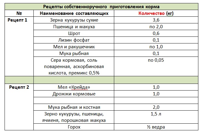 Cколько корма нужно курице несушке в день