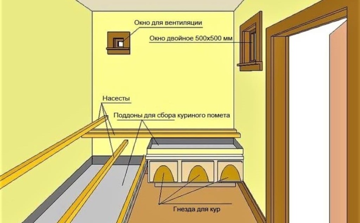 Насест для кур — как сделать своими руками