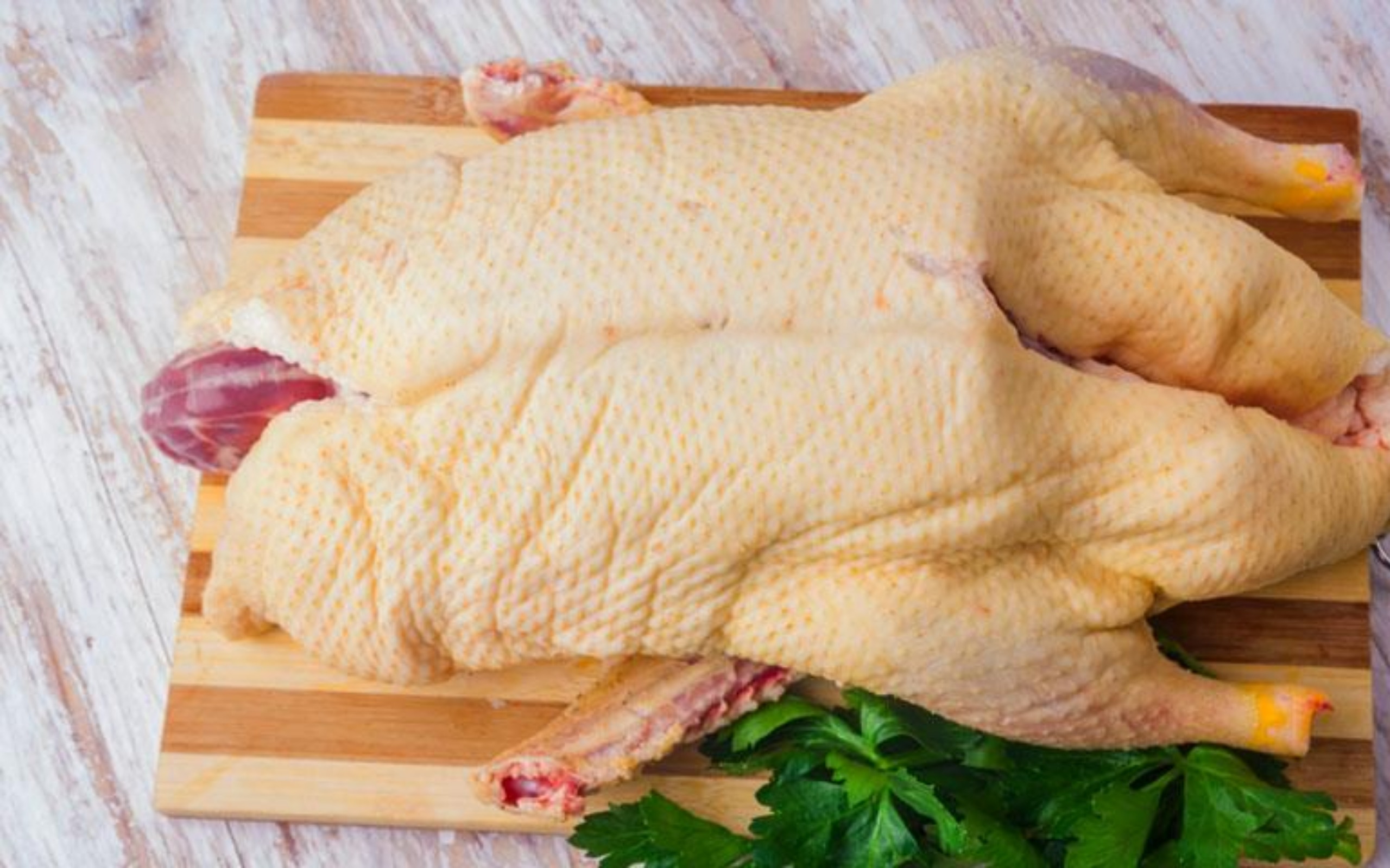 Гусь и утка: чем отличается и в чем разница