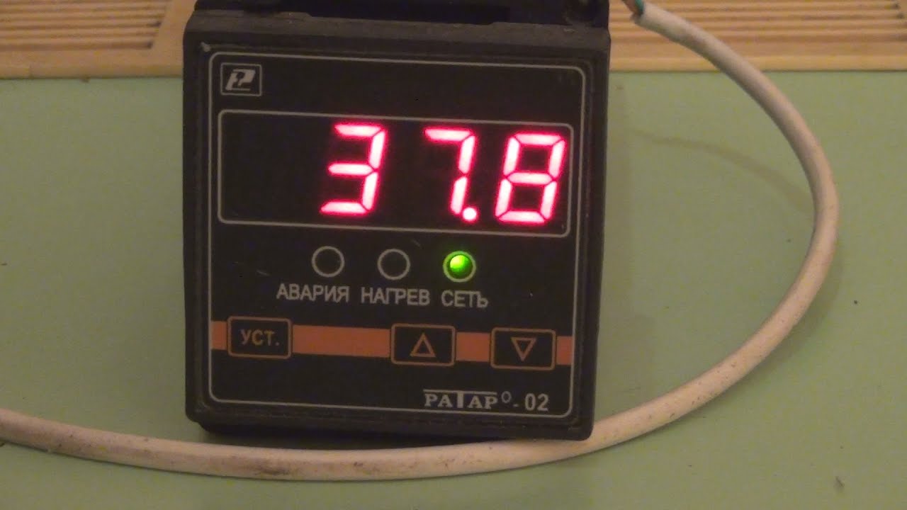 Инкубатор для перепелиных яиц — как сделать своими руками