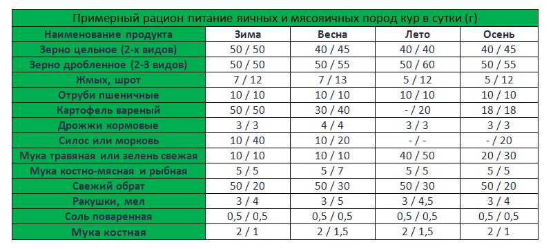 Cколько корма нужно курице несушке в день