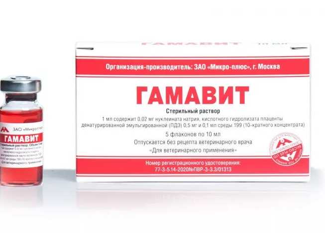 как давать гамавит волнистому попугаю как давать гамавит попугаю