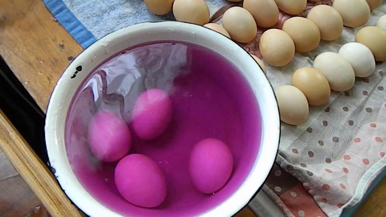 Инкубация индюшиных яиц: таблица режимов