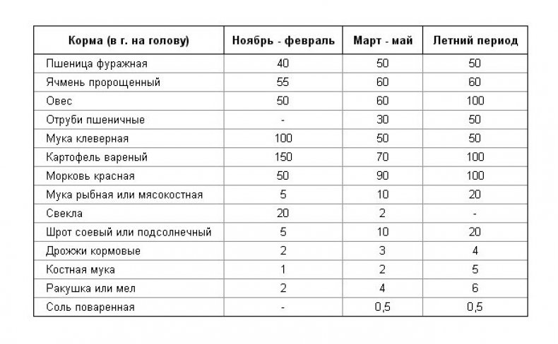 Сколько лет живут гуси в домашних условиях